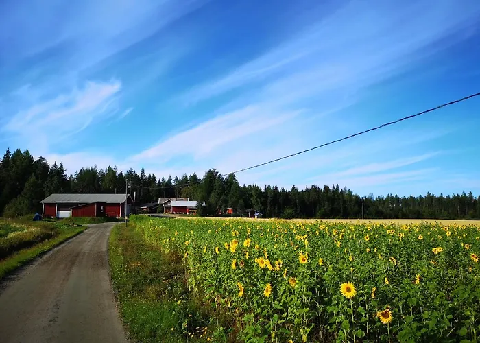Maatilamatkailu Ilomaeki