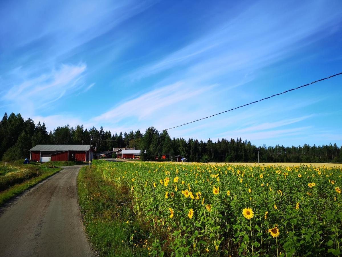 Lantgård Maatilamatkailu Ilomaeki
