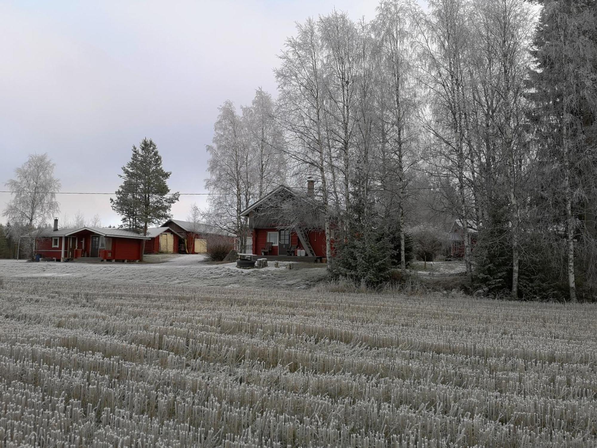 Lantgård Maatilamatkailu Ilomaeki *