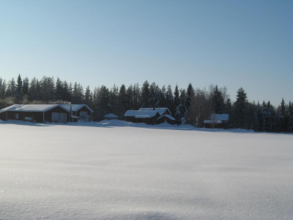 Maatilamatkailu Ilomaeki