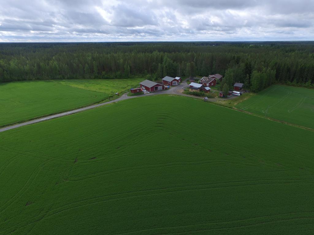 Maatilamatkailu Ilomaeki Agroturismo Seinäjoki