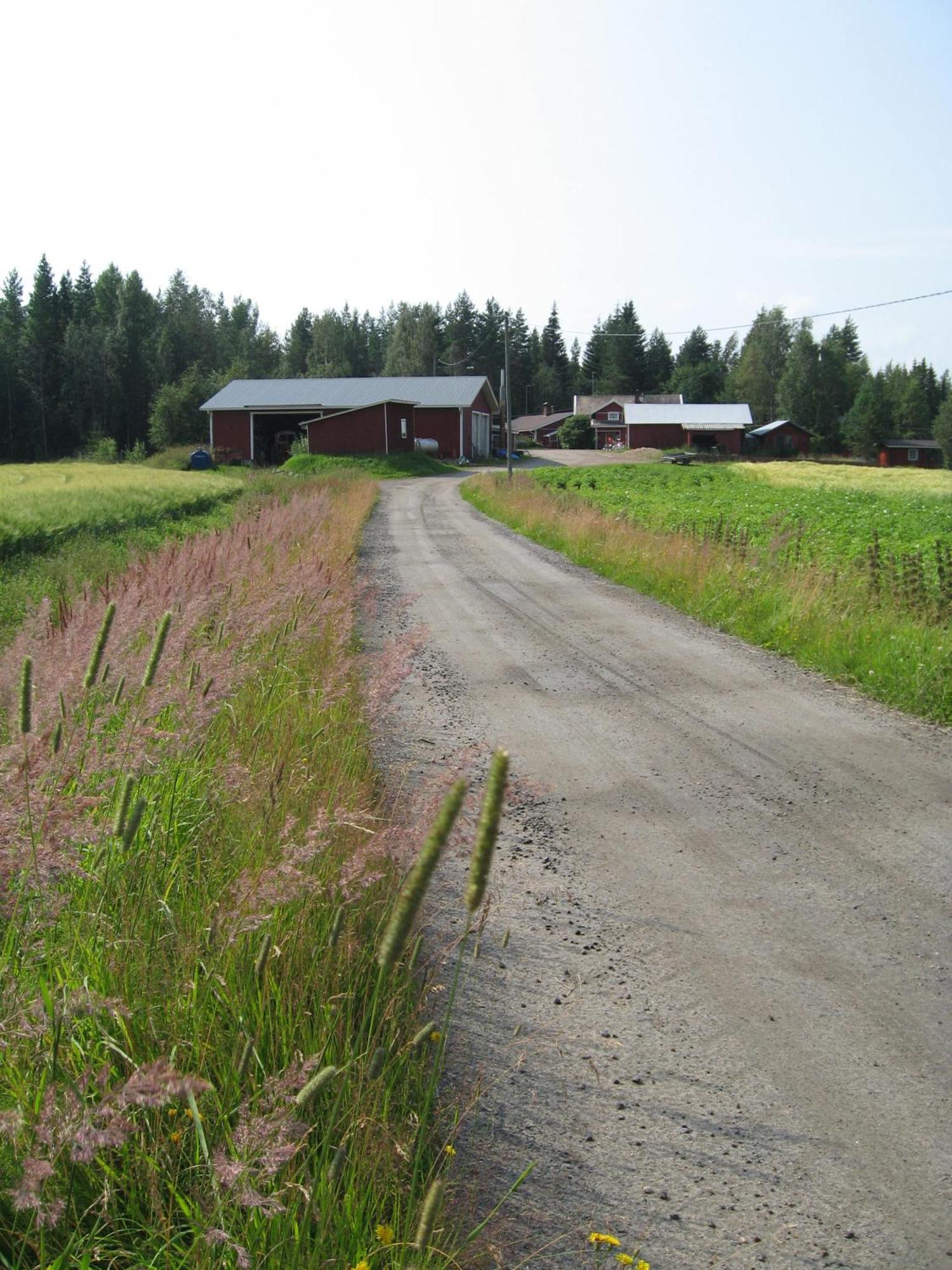 Maatilamatkailu Ilomaeki *