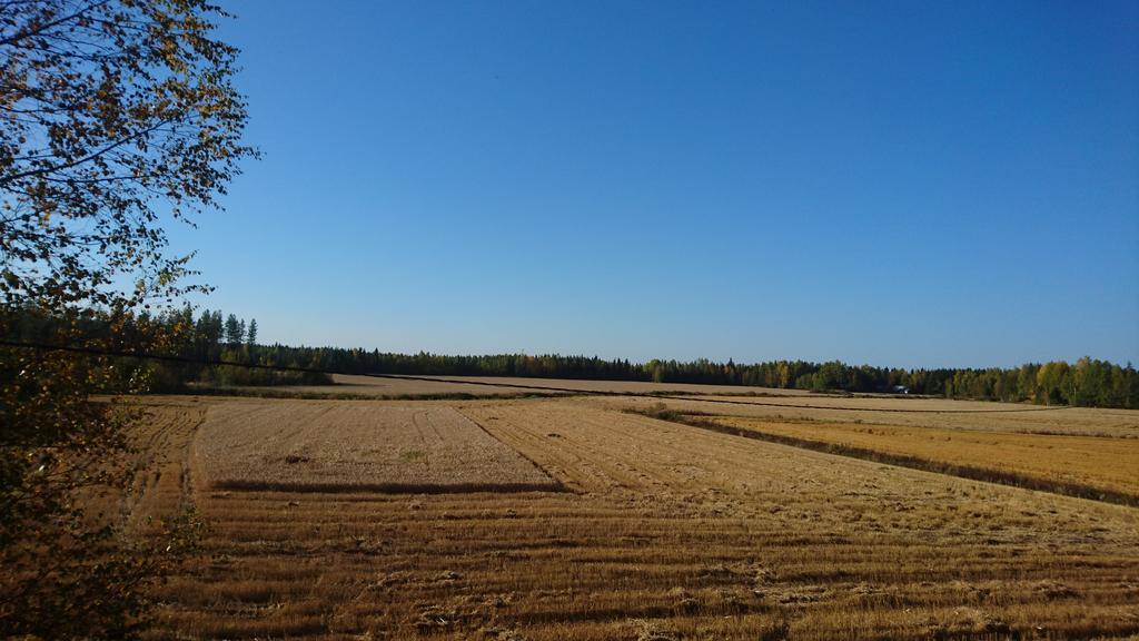 Maatilamatkailu Ilomaeki *