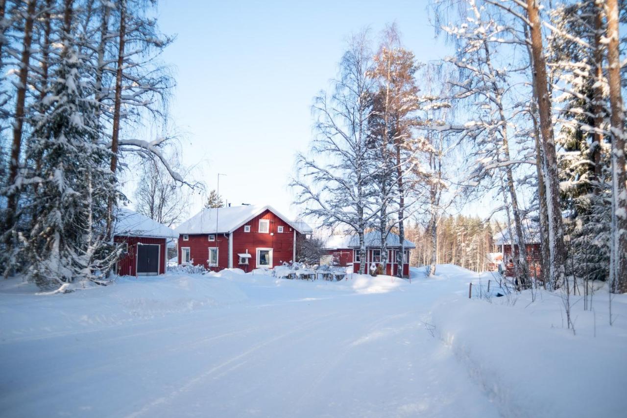 Maatilamatkailu Ilomaeki Lantgård Seinäjoki