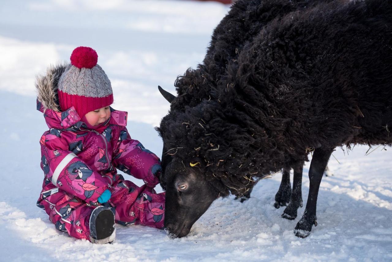 Maatilamatkailu Ilomaeki Agroturismo *