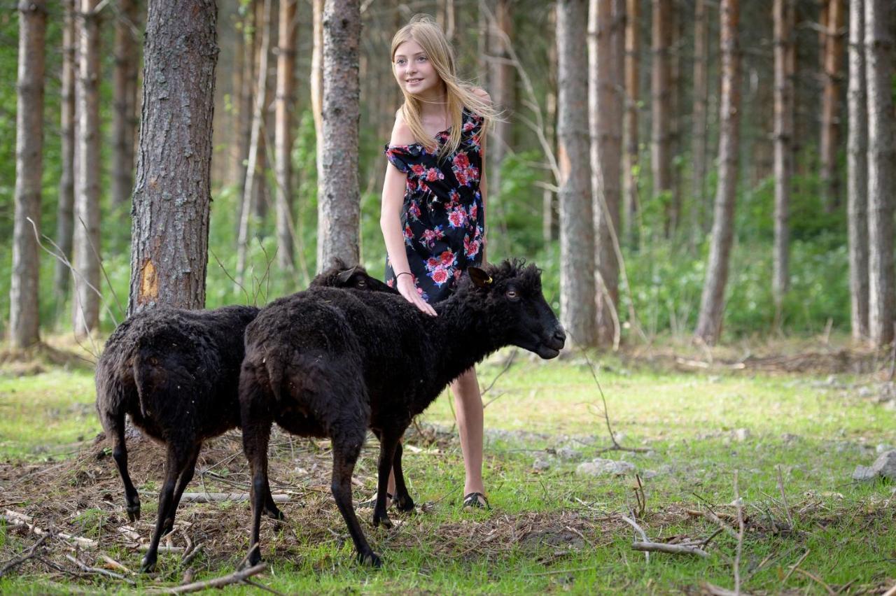 Agroturismo Maatilamatkailu Ilomaeki Seinäjoki